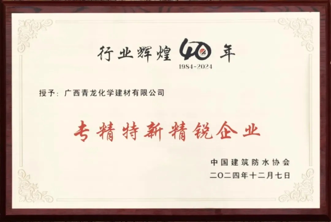 第八屆青龍節